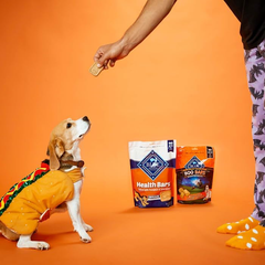 Blue Buffalo Health Bars Crunchy Dog Biscuits, Oven-Baked With Natural Ingredients, Pumpkin & Cinnamon
