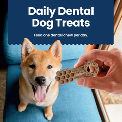 Blue Buffalo Dental Chews Large Natural Dog Treats, Chicken & Spearmint