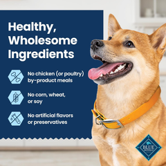 Blue Buffalo Dental Chews Large Natural Dog Treats, Chicken & Spearmint