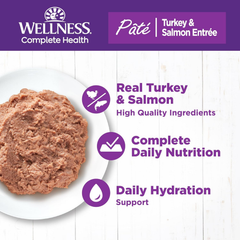 Wellness Complete Health Pate Adult Wet Cat Food, Natural, Protein-Rich, Grain Free (Turkey & Salmon)