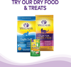 Wellness Complete Health Pate Adult Wet Cat Food, Natural, Protein-Rich, Grain Free (Turkey & Salmon)