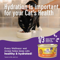 Wellness Complete Health Pate Adult Wet Cat Food, Natural, Protein-Rich, Grain Free(Turkey & Salmon)