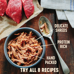 Wellness CORE Signature Selects Shredded Adult Wet Cat Food, Natural, Protein-Rich, Grain Free (Chicken & Turkey)