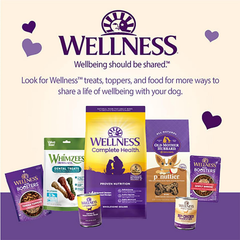 Wellness Puppy Treats, Natural, Training Treat, Grain Free, Soft Lamb & Salmon