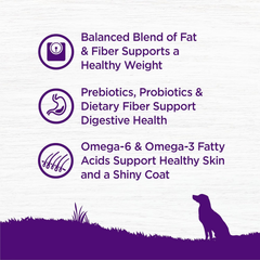 Wellness Complete Health Dry Dog Food, Wholesome Grains, Natural, Healthy Weight Chicken & Peas Recipe