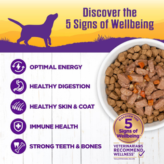 Wellness Complete Health Thick & Chunky Natural Canned Wet Dog Food, Turkey Stew