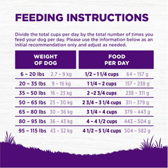 Wellness Complete Health Dry Dog Food, Grain Free, Natural, Chicken Recipe