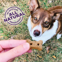 Wellness Old Mother Hubbard Original Mix Dog Biscuits, Natural, Training Treats, Four Flavors, Mini Size