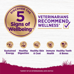 Wellness Complete Health Senior Dry Dog Food, Small Breed, Wholesome Grains, Natural, Age Advantage Turkey & Peas Recipe