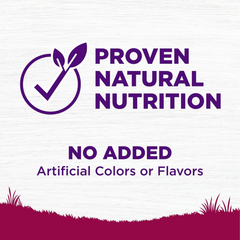 Wellness Complete Health Senior Dry Dog Food, Small Breed, Wholesome Grains, Natural, Age Advantage Turkey & Peas Recipe