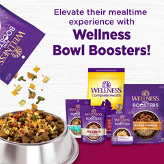 Wellness Complete Health Senior Dry Dog Food, Small Breed, Wholesome Grains, Natural, Age Advantage Turkey & Peas Recipe