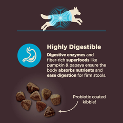 Wellness CORE Digestive Health Dry Dog Food, Wholesome Grains, Natural, Ingredients for Dogs with Sensitive Stomachs, Whitefish & Brown Rice Recipe