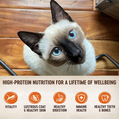 Wellness CORE Signature Selects Flaked Adult Wet Cat Food, Natural, Protein-Rich, Grain Free (Skipjack Tuna & Shrimp)