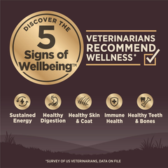 Wellness CORE Grain-Free High-Protein Small Breed Dry Dog Food, Natural Ingredients, Made in USA with Real Meat