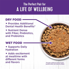 Wellness Complete Health Pate Senior Wet Cat Food, Natural, Protein-Rich, Grain Free (Chicken Age Advantage)