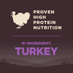 Wellness CORE Grain-Free Senior Dry Dog Food, Made in USA with Real Turkey and Natural Ingredients, With Nutrients for Immune, Joint, Skin & Coat Support