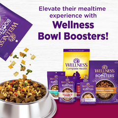 Wellness Complete Health Small Breed Dry Dog Food with Grains, Natural Ingredients, Made in USA with Real Turkey, For Dogs Up to 25 lbs. (Puppy, Turkey, Salmon & Oatmeal)