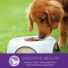 Wellness Complete Health Small Breed Dry Dog Food with Grains, Natural Ingredients, Made in USA with Real Turkey, For Dogs Up to 25 lbs. (Puppy, Turkey, Salmon & Oatmeal)