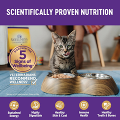 Wellness Complete Health Sliced Adult Wet Cat Food, Natural, Protein-Rich, Grain Free (Chicken Entrée)