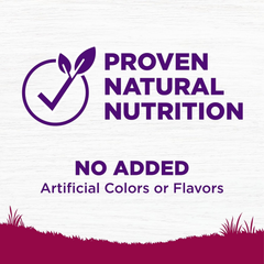 Wellness Complete Health Dry Dog Food, Small Breed, Grain Free, Natural, Turkey, Chicken, & Salmon Recipe