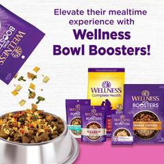 Wellness Complete Health Dry Dog Food for Small Dogs, Toy Breed, Wholesome Grains, Natural, Chicken, Brown Rice, & Peas Recipe