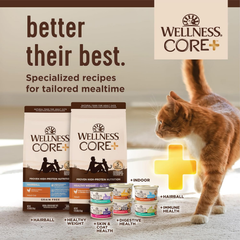 Wellness CORE+ Digestive Health Pate Adult Wet Cat Food, Natural, Protein-Rich, Grain Free (Salmon)