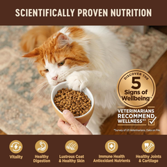 Wellness CORE Natural Grain-Free High Protein Adult Dry Cat Food Recipe, Turkey, Turkey Meal and Duck Formula