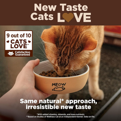 Wellness CORE Natural Grain-Free High Protein Adult Dry Cat Food Recipe, Turkey, Turkey Meal and Duck Formula