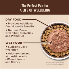 Wellness CORE+ Digestive Health Pate Adult Wet Cat Food, Natural, Protein-Rich, Grain Free (Turkey)