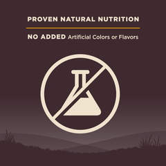 Wellness CORE Grain-Free High-Protein Small Breed Dry Dog Food, Natural Ingredients, Made in USA with Real Meat (Puppy, Turkey)