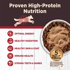 Wellness CORE Digestive Health Beef Grain Free Wet Dog Food