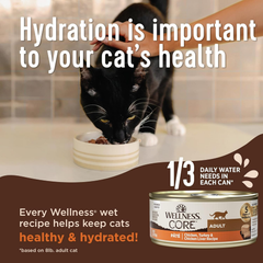 Wellness CORE+ Digestive Health Pate Adult Wet Cat Food, Natural, Protein-Rich, Grain Free (Whitefish)