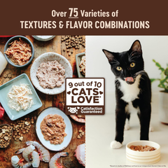 Wellness CORE+ Digestive Health Pate Adult Wet Cat Food, Natural, Protein-Rich, Grain Free (Whitefish)