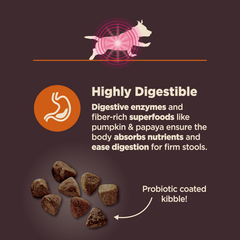Wellness CORE Digestive Health Dry Dog Food with Wholesome Grains, Highly Digestible, for Dogs with Sensitive Stomachs, Made in USA with Real Protein (Small Breed, Chicken & Brown Rice)