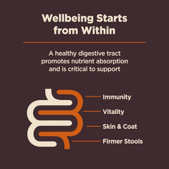 Wellness CORE Digestive Health Dry Dog Food with Wholesome Grains, Highly Digestible, for Dogs with Sensitive Stomachs, Made in USA with Real Protein (Small Breed, Chicken & Brown Rice)