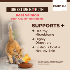 Wellness CORE+ Adult Dry Cat Food for Indoor and Outdoor Cats, Wholesome Grains, Natural, Digestive Health Salmon & Rice
