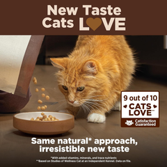 Wellness CORE+ Adult Dry Cat Food for Indoor and Outdoor Cats, Wholesome Grains, Natural, Digestive Health Salmon & Rice