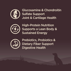 Wellness CORE Grain-Free Senior Dry Dog Food, Made in USA with Natural Ingredients, No Meat by-Product, Fillers, Artificial Flavors, or Preservatives (Turkey)