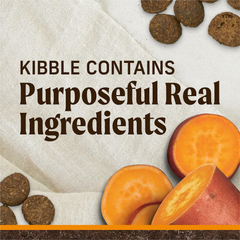 Merrick Premium Grain Free Dry Adult Dog Food, Wholesome And Natural Kibble With Real Chicken And Sweet Potato
