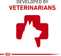 Royal Canin Dachshund Adult Breed Specific Wet Dog Food