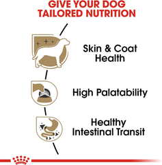 Royal Canin Chihuahua Adult Breed Specific Loaf in Sauce Dog Food