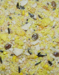Higgins Protein Egg Food 20 lb