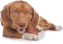 Cadet Natural Pig Ears for Dogs, Long Lasting & Natural Chew Treats for Dogs