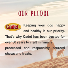 Cadet Premium Grade Beef Hide for Dogs, Long Lasting Rawhide Donut Bone, Single Ingredient Dog Chews, 5 Inch
