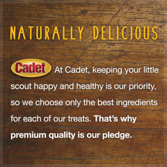 Cadet Premium Grade Beef Hide for Dogs, Long-Lasting Rawhide Chips, Single Ingredient Dog Chews, Peanut Butter Flavor