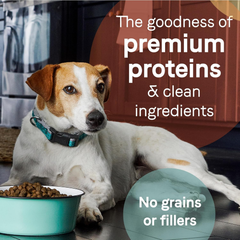 Canidae Pure Real Lamb & Pea Recipe Adult Dry Dog