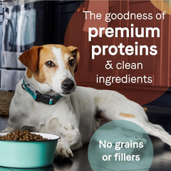 Canidae Pure SENIOR Real Chicken, Sweet Potato & Garbanzo Bean Recipe Dog Dry