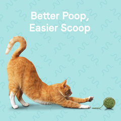 Canidae Goodness for Digestion, Premium Adult Dry Cat Food with Real Chicken