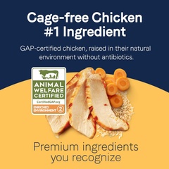 Canidae Pure Bone Broth Topper with Real Chicken & Rice Wet Dog Food