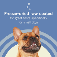 Canidae Pure Petite Premium Dry Dog Food for Small Breeds, Chicken & Wholesome Grains Recipe